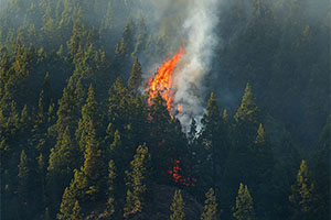 Fire Prevention