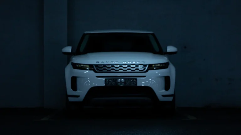 Преимущества камеры теплового изображения на автомобиле Land Rover Jaguar