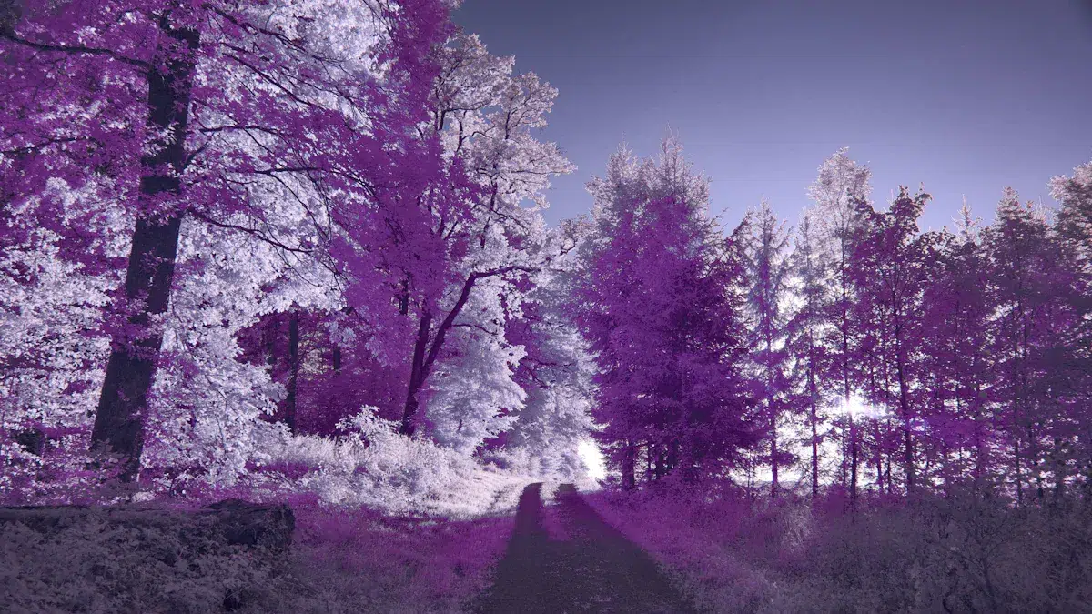 Why a Thermal Drone is a Hunter's Best Friend? 3 Advantages for Hunters