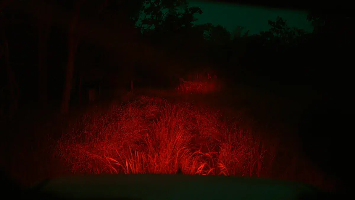 Thermal vs Night Vision for Hunting
