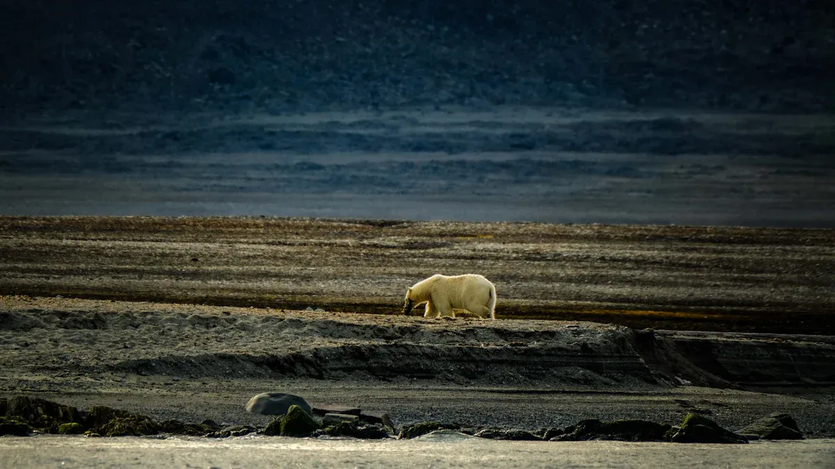 Thermal Imaging’s Impact on Wildlife Observation