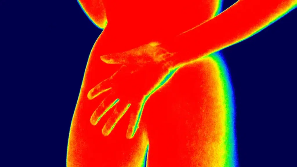Thermal camera module maakt havens veiliger en slimmer