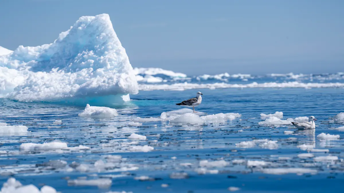 How Thermal Sensors Enhance Oil, Mining & Arctic Safety in Canada's Harsh Environments 2 Safety Challenges in Harsh Environments
